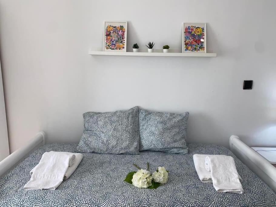 Apartamento Soltova Касар-де-Касерес Экстерьер фото